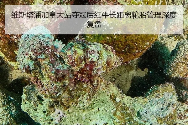 wei-si-ta-pan-jia-na-da-zhan-duo-guan-hou-hong-niu-zhang-ju-li-lun-tai-guan-li-shen-du-fu-pan-2-316.jpg